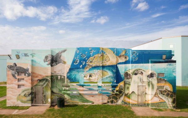 A photograph of a mural featuring sea life.