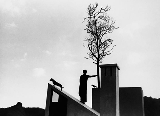 A black and white photograph by Flor Garduño featuring a silhouetted figure standing on a rooftop with a dog.