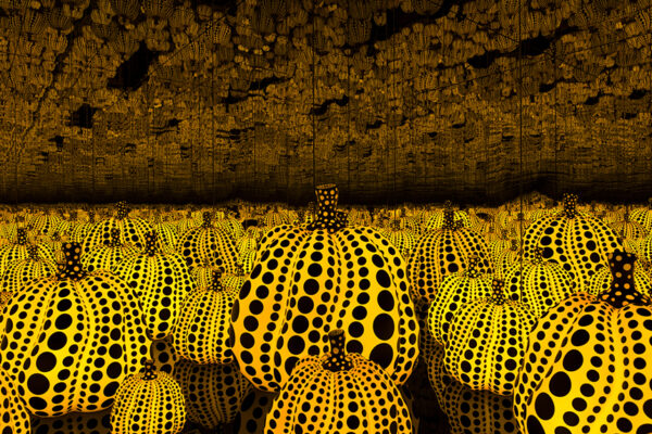 A photograph inside of a Yayoi Kusama infinity room.