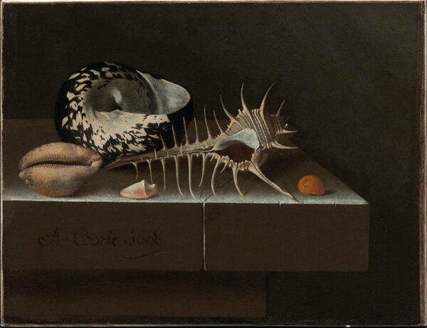 A painting of a table top with seashells.