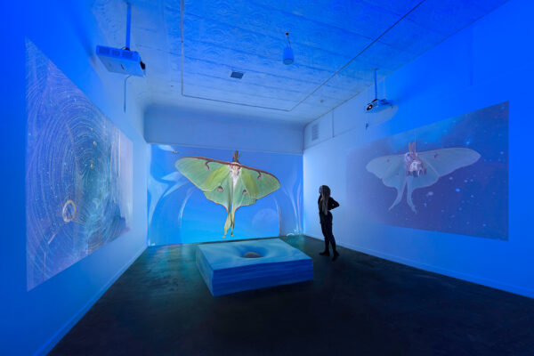 A photograph of a three-channel video installation by Virginia L. Montgomery.