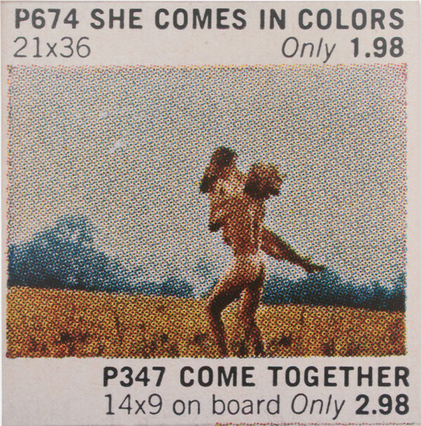 A work by Richard Prince featuring an image of two nude people in a field.